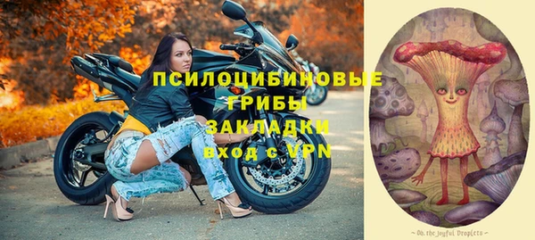 прущие крисы Арсеньев