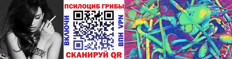 Купить  Бабаево  Псилоцибиновые грибы Cubensis 